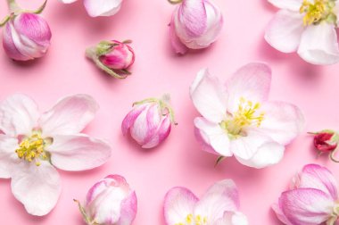 Bahar arka planı. Güzel, narin bahar çiçekleri ve pembe arka planda tomurcuk tomurcukları düz bir manzarada yatıyordu. Bahar zamanı doğa konsepti. Çiçek, şişkinlik, çiçek. Çiçek deseni.