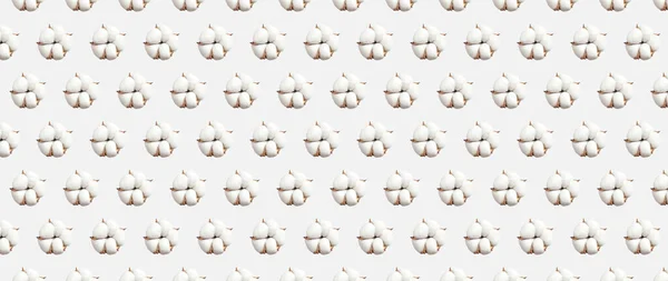Pattern White Cotton Flowers Isolated Light Gray Background Flat Lay — Stock Photo, Image