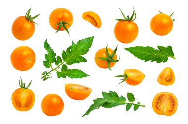 Collection of yellow orange tomatoes with green tails leaves isolated on white background. Fresh ripe Cherry tomatoes. Whole vegetables and chopped halves. Healthy vegan organic food, harvest concept.