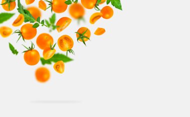 Açık gri arka planda yeşil yapraklı taze sarı turuncu domatesler yatıyordu. Kiraz domatesleri. Sebzeler, sağlıklı vejetaryen organik yiyecekler, hasat konsepti domates deseni. Yaratıcı yerleşim.