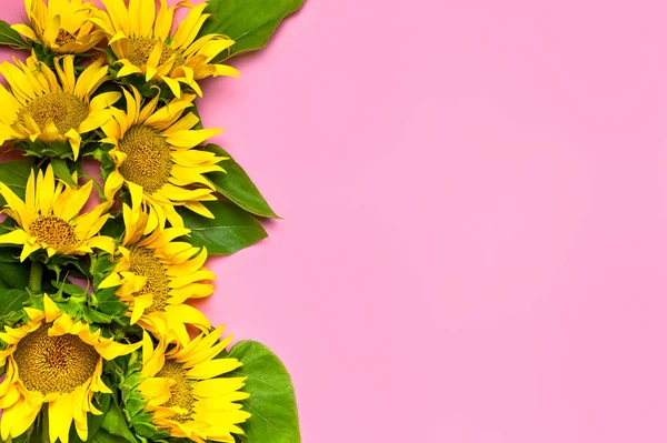 Flat Lay Zonnebloem Natuurlijke Achtergrond Mooie Frisse Gele Zonnebloem Met — Stockfoto