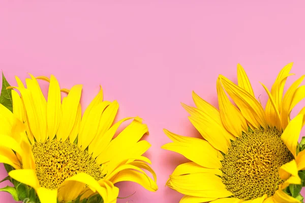 Flat Lay Zonnebloem Natuurlijke Achtergrond Mooie Frisse Gele Zonnebloem Met — Stockfoto