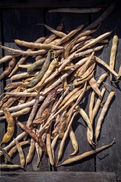 Environmentally friendly home gardening product. Dried beans pods on a wooden background.