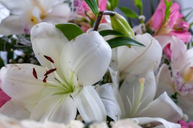 Arka plan için güzel Vintage buketi taze çiçek