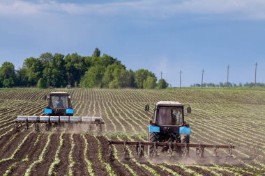 Traktör ve ekiciler tarlaya ekin ekiyor.