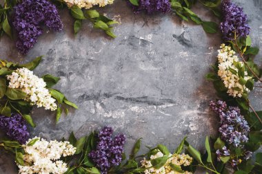 Tahta yüzeydeki güzel leylak