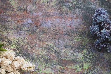 Tahta yüzeydeki güzel leylak