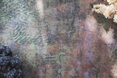 Tahta yüzeydeki güzel leylak