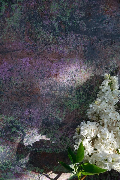 La hermosa lila sobre una superficie de madera — Foto de Stock