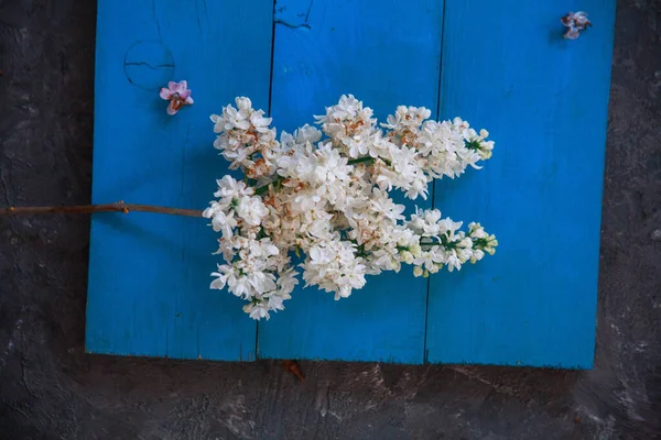 La hermosa lila sobre una superficie de madera — Foto de Stock