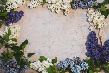 Tahta yüzeydeki güzel leylak