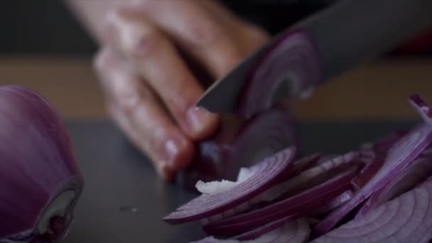 Anonymous person cutting red onion into slices — Stock Video