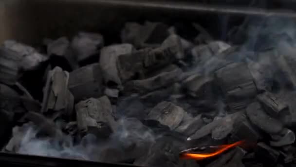 Ember λάμπει στην καύση της φωτιάς — Αρχείο Βίντεο