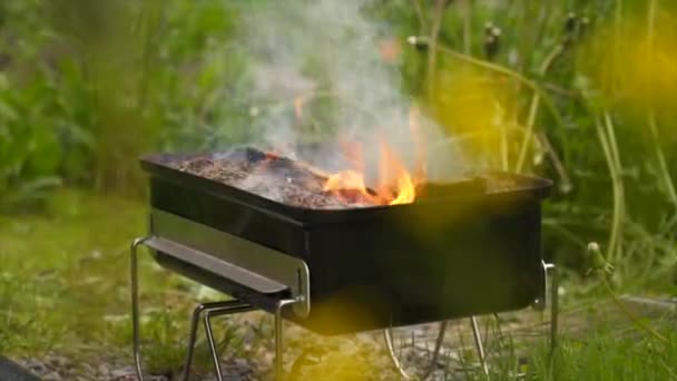 Loggar flammande i träkolsgrill i trädgården — Stockvideo