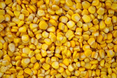 tatlı konserve mısır doku arka plan