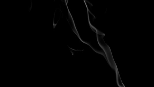 Beeldmateriaal witte rook op zwarte achtergrond. — Stockvideo
