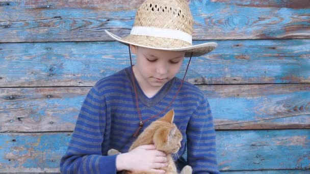 Filmación chico jugando con un gato — Vídeo de stock