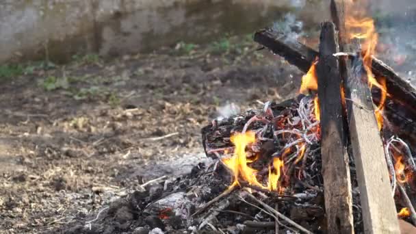 Video de fuego ardiente de hojas y tablas . — Vídeos de Stock