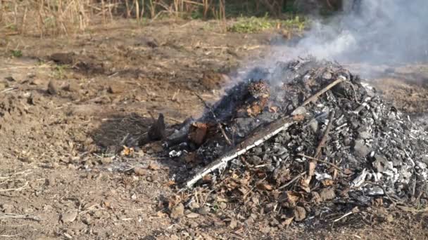 Beeldmateriaal mens verbrandt bladeren buiten — Stockvideo