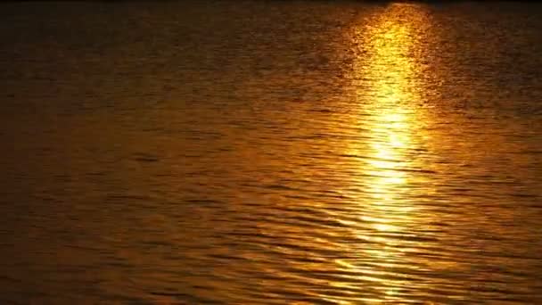 Krásný západ slunce, odráží ve vodě — Stock video