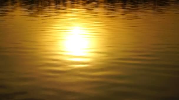 Beeldmateriaal prachtige zonsondergang weerspiegeld in water. — Stockvideo