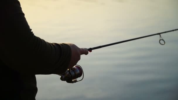 Footage fisherman catching predatory fish with spinning on the lake. — Stock Video