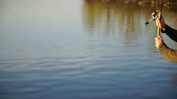 Pescado capturando peces depredadores girando en el lago . — Vídeos de Stock