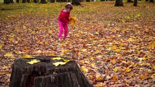 Niña recogiendo hojas de otoño en el parque — Vídeo de stock