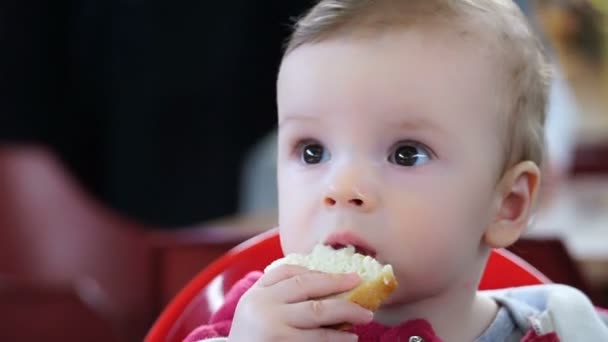 Görüntüleri küçük çocuk çocuk sandalyede oturan ve ekmek yiyor. — Stok video