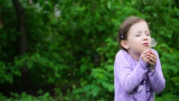 Filmagem menina com dente de leão no parque — Vídeo de Stock