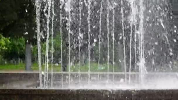 Brunnen in einem Park in Großaufnahme — Stockvideo