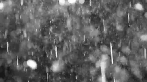 Letni deszcz w ogródku lub w parku. — Wideo stockowe