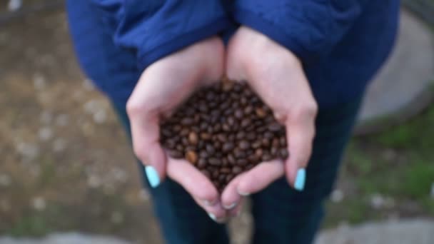 Materiał filmowy młoda kobieta, trzymając się za ręce w kawie w zbliżenie ziarna. — Wideo stockowe
