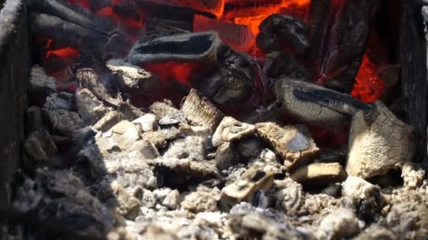 Уголь горит в жаровне — стоковое видео