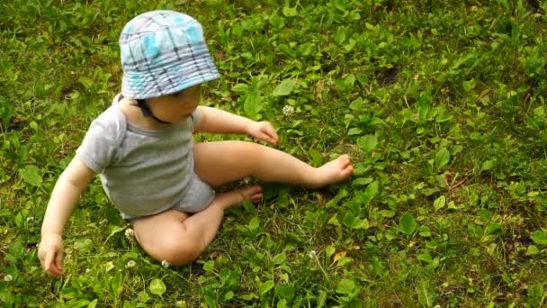 Yeşil çimenlerin üzerinde oynarken görüntüleri bebek çocuk. — Stok video