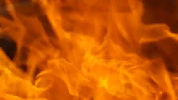 Footage red fire close up. HD video. — Stock Video
