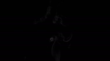 Görüntüleri beyaz siyah arka plan üzerine duman. 4k