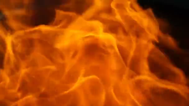 Footage red fire close up. video 120fps — Stock Video