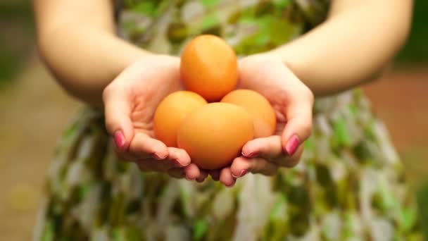 Footage Woman holding a eggs close up. 4K — Stock Video