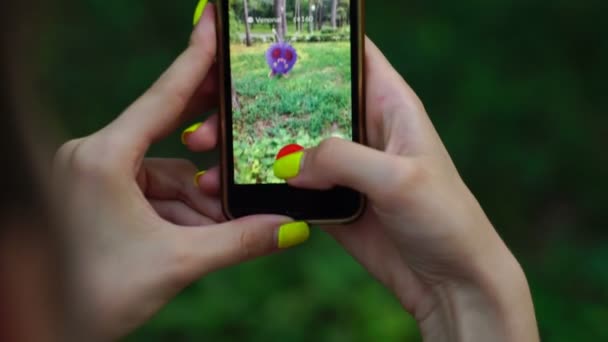 Samara, Federacja Rosyjska - 31 lipca 2016: Kobieta gry pokemon przejdź na jego iphone. Pokemon przejść gra multiplayer z elementami rzeczywistości rozszerzonej. Łapanie pokemonów Venonat — Wideo stockowe