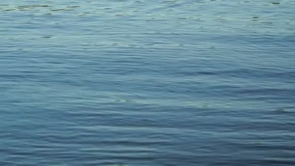 Images vagues faibles d'eau bleue dans la rivière. 4K 