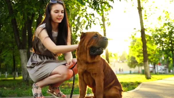 Shar-Pei ile parkta yürüyen genç kadın — Stok video