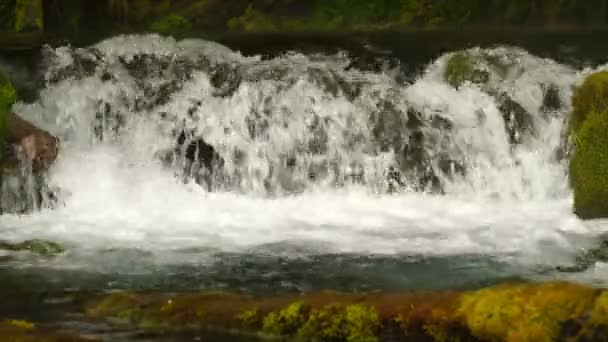 Source d'eau dans la montagne. 4K 