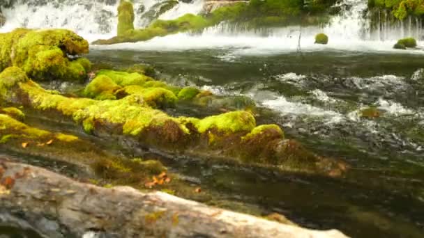 Görüntüleri kaynak su dağ. 4k — Stok video