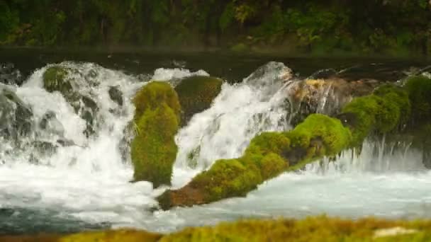 Filmmaterial Quelle des Wassers im Berg. 4k — Stockvideo
