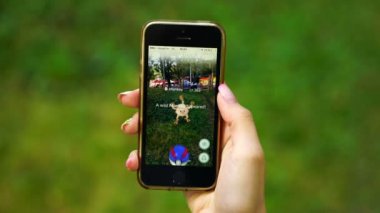 Samara, Rusya Federasyonu - 8 Eylül 2016: kadın oyun pokemon onun iphone gidin. Pokemon artar gerçeklik unsurları ile multiplayer oyun gidin. Mankey pokemon yakalamak
