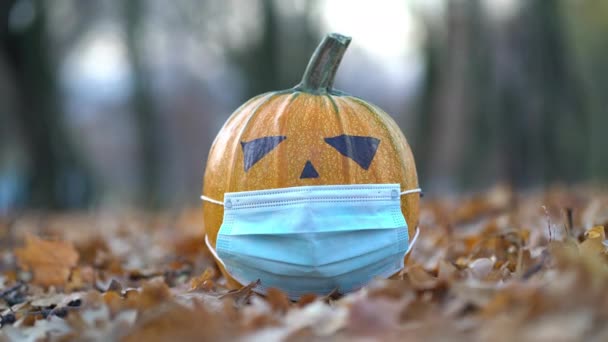 Jack-o-lantern with medical mask in autumn park — Stock Video