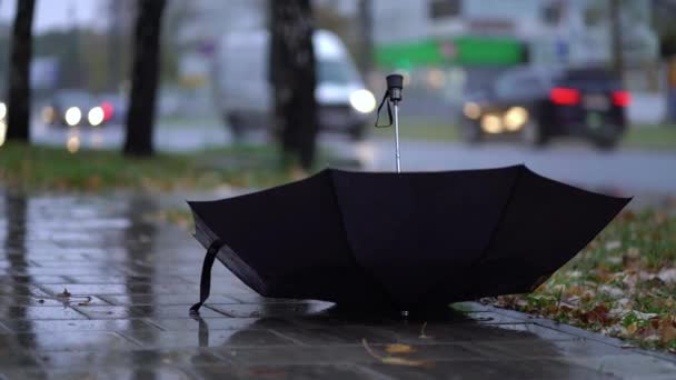 Thrown black umbrella on the road on a rainy day — Stock Video