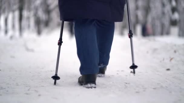 Actieve oudere vrouw traint Nordic walking met wandelstokken. Oudere vrouw die in de winter nordic walking beoefent — Stockvideo