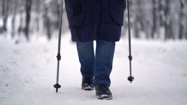 Активна старша жінка тренує скандинавську ходьбу на стежках. Літня жінка практикує скандинавську ходьбу надворі взимку. — стокове відео